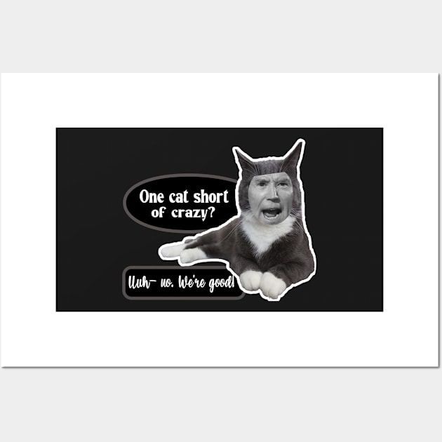 ONE CAT SHORT OF CRAZY UUH NO  ~ CAT STICKERS OF ANGRY CAT GRAY CAT FUNNY BIDEN MEME QUOTE Wall Art by KathyNoNoise